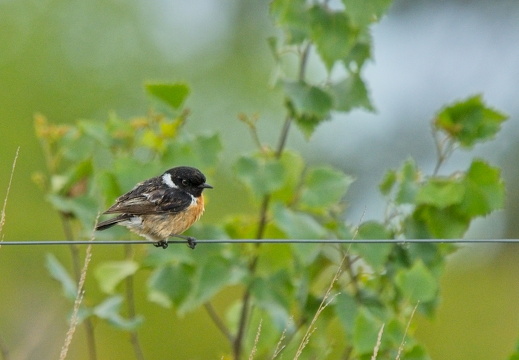 Photo trip and courses